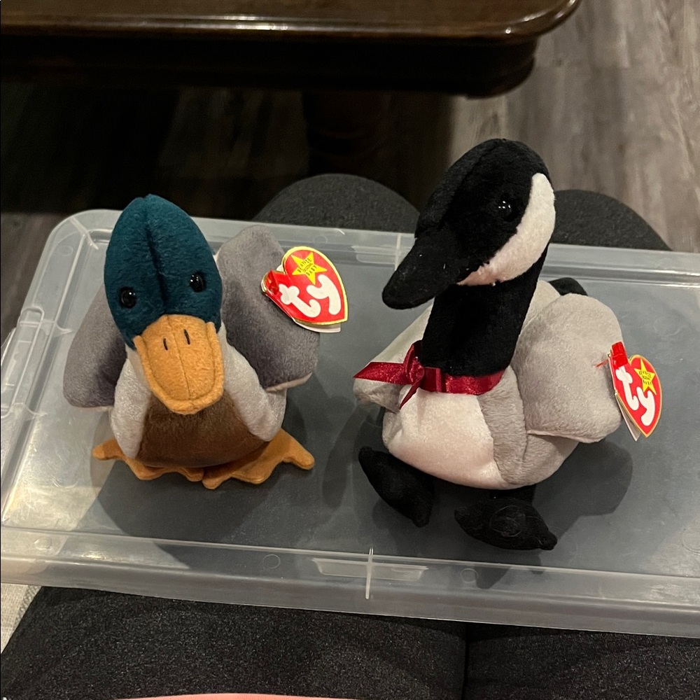 Ty Plush Jake Duck & Loosy Goose Set - Black, Gray, Blue adorable collectible